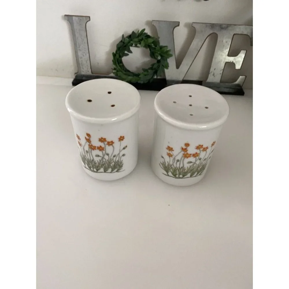 Takashi‎ Ceramic Salt and Pepper Shakers Orange Flowers